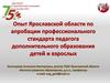 Опыт Ярославской области по апробации профессионального стандарта педагога дополнительного образования детей и взрослых