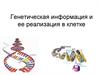 Генетическая информация и ее реализация в клетке