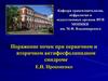 Поражение почек при первичном и вторичном антифосфолипидном синдроме