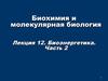 Биохимия и молекулярная биология. Биоэнергетика (лекция 12)