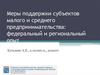 Меры поддержки субъектов малого и среднего предпринимательства: федеральный и региональный опыт