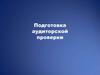 Подготовка аудиторской проверки