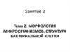 Морфология микроорганизмов. Структура бактериальной клетки. (Тема 2)