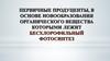 Первичные продуценты, в основе новообразования органического вещества которыми лежит бесхлорофильный фотосинтез