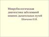 Микробиологическая диагностика заболеваний нижних дыхательных путей
