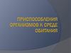 Приспособления организмов к среде обитания
