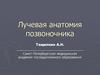 Лучевая анатомия позвоночника