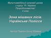 Зона мішаних лісів. Українське Полісся