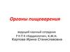 Органы пищеварения