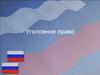 Уголовное право. Уголовный кодекс. Преступление. Юридическая ответственность. Состав преступления