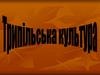 Трипільська культура