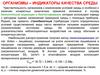 Организмы – индикаторы качества среды