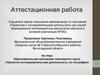 Аттестационная работа. Образовательная программа элективного курса «Проектно-исследовательская деятельность по географии»