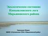 Экологическое состояние Камышловского лога Марьяновского района