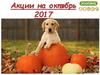 Зоолэнд. Акции на октябрь 2017