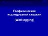 Геофизические исследования скважин (Well logging)