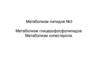 Метаболизм липидов. Метаболизм глицерофосфолипидов и холестерола. (Лекция 3)