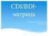 CDI/BDI-матрица