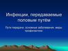 Инфекции, передаваемые половым путём. Пути передачи, основные заболевания, меры профилактики