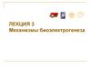 Механизмы биоэлектрогенеза