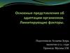 Основные представления об адаптации организмов. Лимитирующие факторы