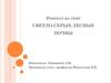 Светло-серые лесные почвы