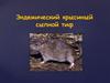 Эндемический крысиный сыпной тиф