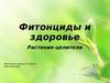 Фитонциды и здоровье. Растения-целители