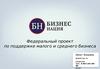 Федеральный проект по поддержке малого и среднего бизнеса