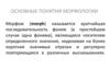 Основные понятия морфологии