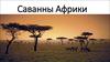 Саванны Африки
