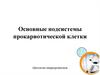 Основные подсистемы прокариотической клетки. Цитология микроорганизмов