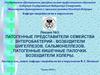 Патогенные представители семейства энтеробактерий - возбудители шигеллезов, сальмонеллезов. Патогенные кишечные палочки