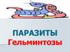 Паразитарные заболевания гельминтозы