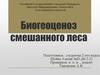 Биогеоценоз смешанного леса