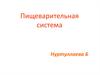 Пищеварительная система