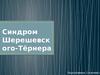 Синдром Шерешевского-Тёрнера