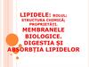 Funcţiile biologice ale lipidelor