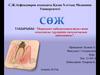Периодонт қабынуының жедел және созылмалы түрлерінің патологиялық анатомиясы
