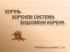 Корінь. Кореневі системи. Видозміни кореня