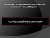 Основы нейрофизиологии