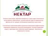 Компания ООО Фирма «Нектар» производитель соков и нектаров