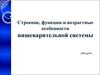 Строение, функции и возрастные особенности пищеварительной системы