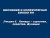Липиды. Строение, свойства, функции. (Лекция 6)