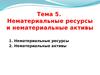 Нематериальные ресурсы и нематериальные активы. (Лекция 5)