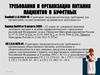 Требования к организации питания пациентов в буфетных. Обязанности старшей медицинской сестры