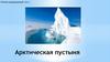 Арктическая пустыня