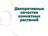 Декоративные качества комнатных растений