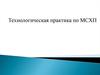 Технологическая  практика по МСХП