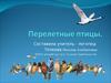 Перелетные и зимующие птицы
